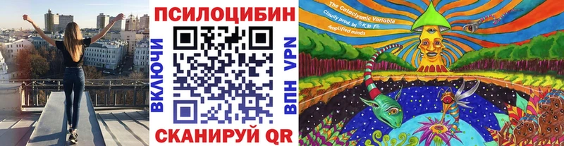 Псилоцибиновые грибы GOLDEN TEACHER закладка Пересвет