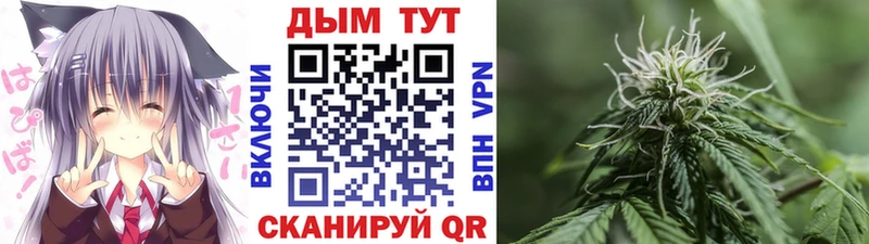 Конопля план  MEGA   Пересвет 